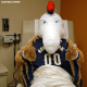 Illustration for article titled Not Helping, Pelicans